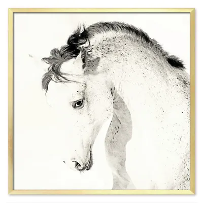 Obraz - konie - 63x63cm - g110777