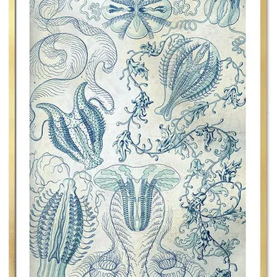 Obraz - inne - 53x73cm - g113074