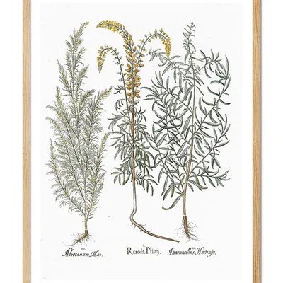 Obraz - inne - 33x43cm - g104214