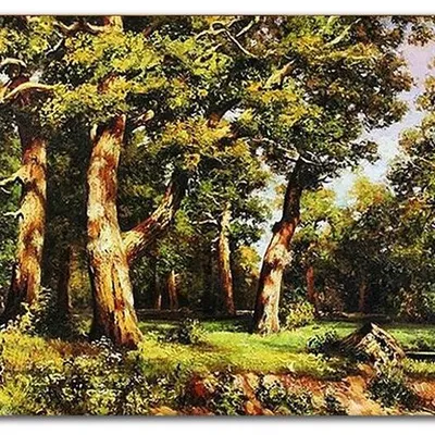 Obraz olejny - pejzaże - iwan iwanowicz szyszkin - dębowy zagajnik - 80x120 cm - g119005