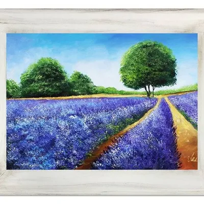 Pola lawendowe - lawendowe rabatki - 72x92 cm - g16859