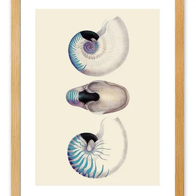 Obraz - inne - 33x43cm - g112926