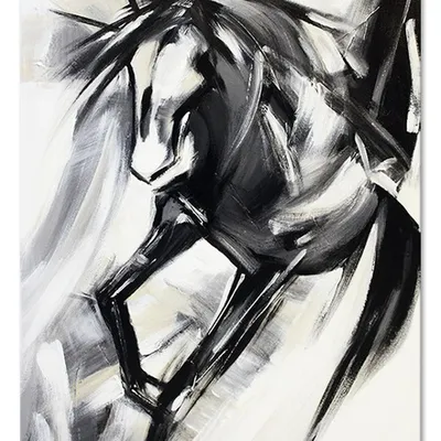 Obraz - konie - 50x70cm - g107787