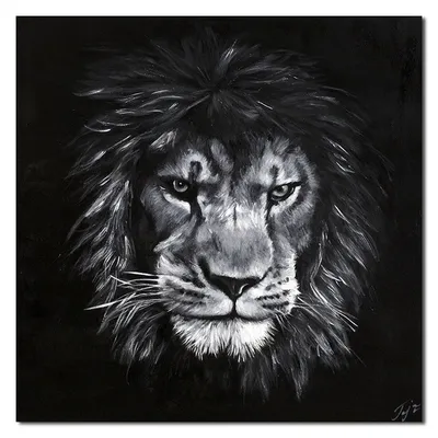 Obraz - dzikie koty - 90x90cm - g102168