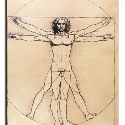 Leonardo da vinci - człowiek witruwiański - 60x90 cm - g01811