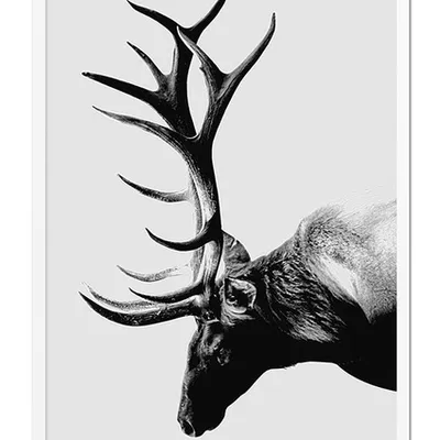 Obraz - inne - 63x93cm - g102156