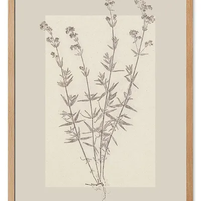 Obraz - inne - 53x73cm - g115754
