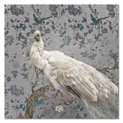 Obraz - ptaki - 60x60cm - g107301
