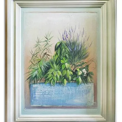 Lawenda - balkonowa lawenda - 40x50 cm - g06337