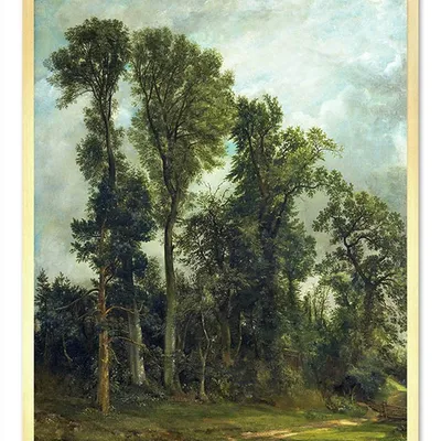 Obraz - pejzaż tradycyjny - 43x53cm - g106814