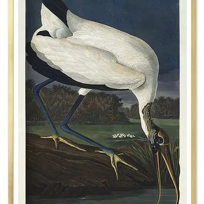 Obraz - ptaki - 63x93cm - g102574