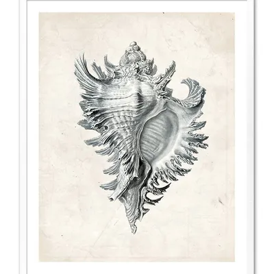 Obraz - inne - 43x53cm - g105383