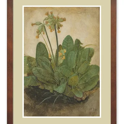 Obraz - inne - 33x43cm - g114835