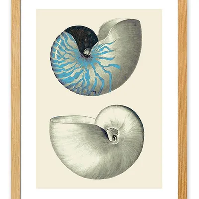 Obraz - inne - 33x43cm - g112927