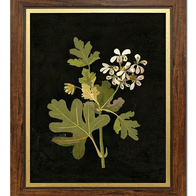 Obraz - inne - 51x61cm - g113880