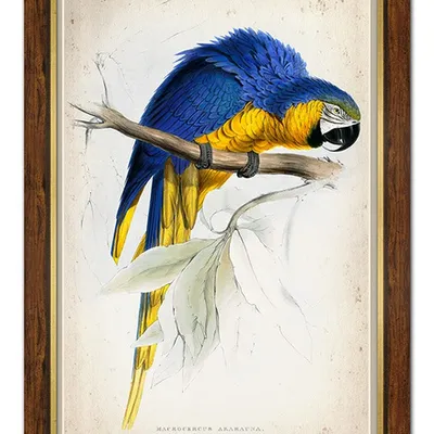 Obraz - ptaki - 71x101cm - g100245