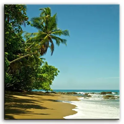 Krajobrazy - pod palmami - 100x100 cm - g92977