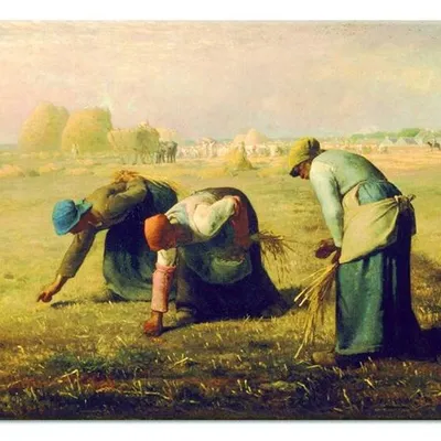 Jean francois millet - kobiety zbierające kłosy - 50x70 cm - g92573