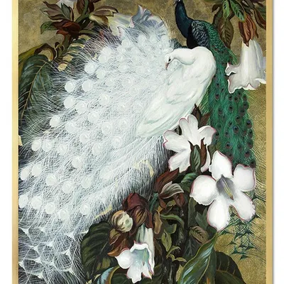 Obraz - ptaki - 53x73cm - g106163