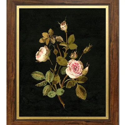 Obraz - inne - 51x61cm - g113879