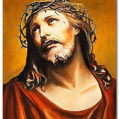 Obraz olejny - jezus chrystus - jezus chrystus w koronie cierniowej - 50x70 cm - g119395