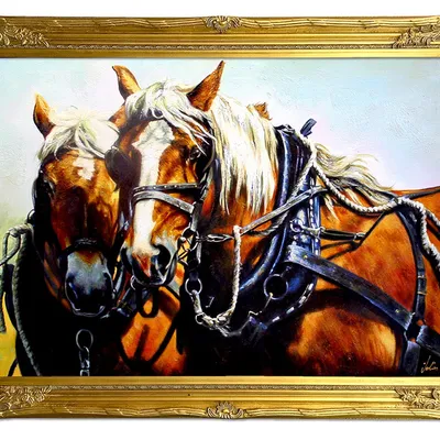 Obraz - konie - 74x104cm - g98951