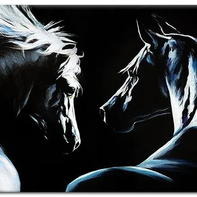 Obraz - konie - 80x120cm - g94763