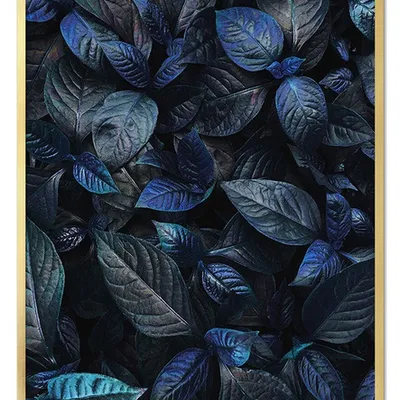 Obraz - tropikalne liście i kwiaty - 53x73cm - g109948