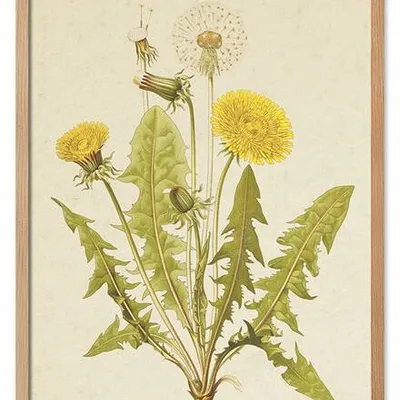 Obraz drukowany - kwiaty - 53x73 cm - g113733