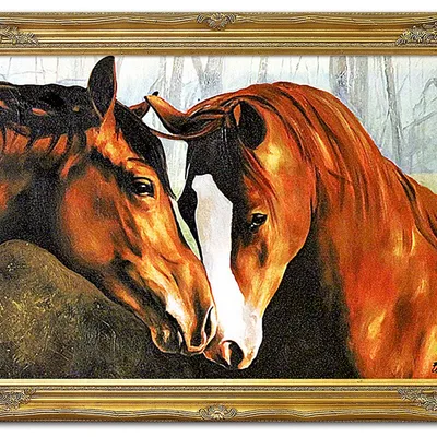 Obraz - konie - 74x104cm - g120060