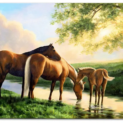 Obraz - konie - 80x120cm - g119160
