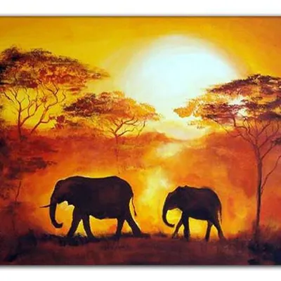 Afryka i egipt - słonie - 60x90 cm - g00558