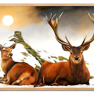 Obraz - inne - 63x93cm - g118930