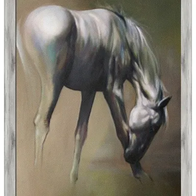 Obraz - konie - 138x198cm - g94768