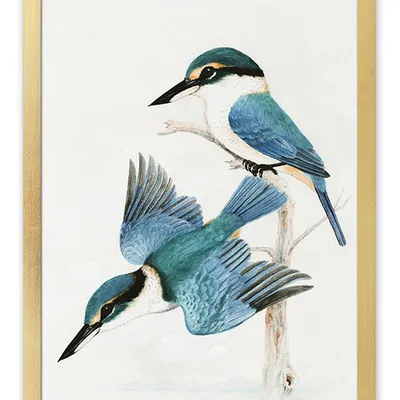 Obraz - ptaki - 33x43cm - g113465