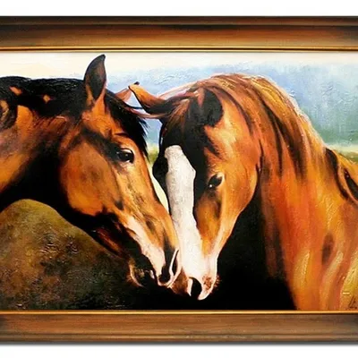 Obraz - konie - 65x85cm - g03590