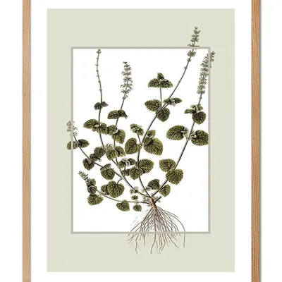 Obraz - inne - 33x43cm - g104240