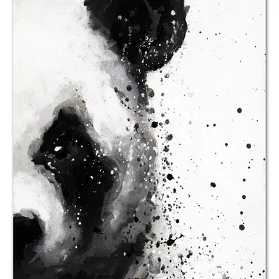 Obraz - inne - 80x120cm - g99954