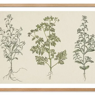 Obraz - inne - 53x73cm - g115753