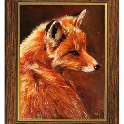 Zwierzęta - lis - 40x50 cm - g04965