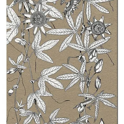 Obraz - inne - 50x70cm - g98046