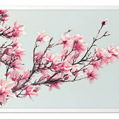 Obraz - inne - 53x73cm - g100519