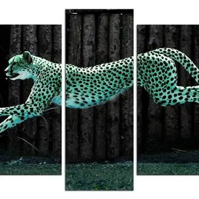 Wild nature - gepard - 45x70 cm x2, 45x100 cm x2, 45x120 cm - g94854