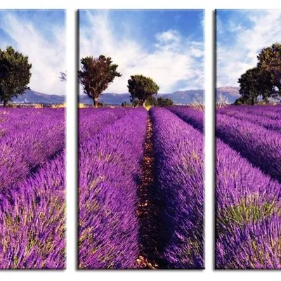 Lawenda - lawendowy bezkres - 45x90 cm x3 - g17783