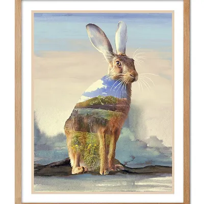 Obraz - inne - 43x53cm - g102623
