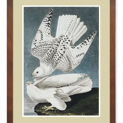 Obraz - ptaki - 33x43cm - g114837