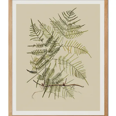 Obraz - inne - 43x53cm - g107043