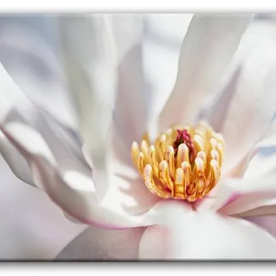 Macro - złoty środek - 60x90 cm - g92799