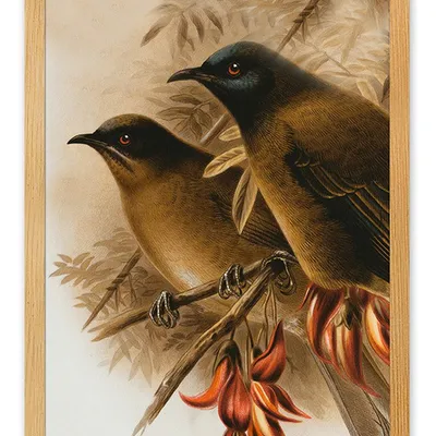 Obraz - ptaki - 33x43cm - g111925