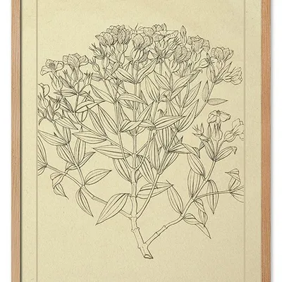 Obraz - inne - 53x73cm - g114945